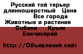 Русский той-терьер длинношерстный › Цена ­ 7 000 - Все города Животные и растения » Собаки   . Крым,Бахчисарай